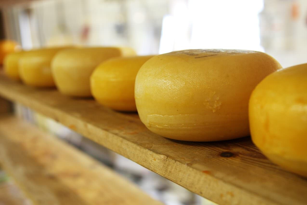 Cheese in the ageing cell