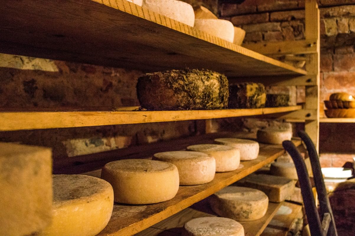Ageing biodynamic cheese