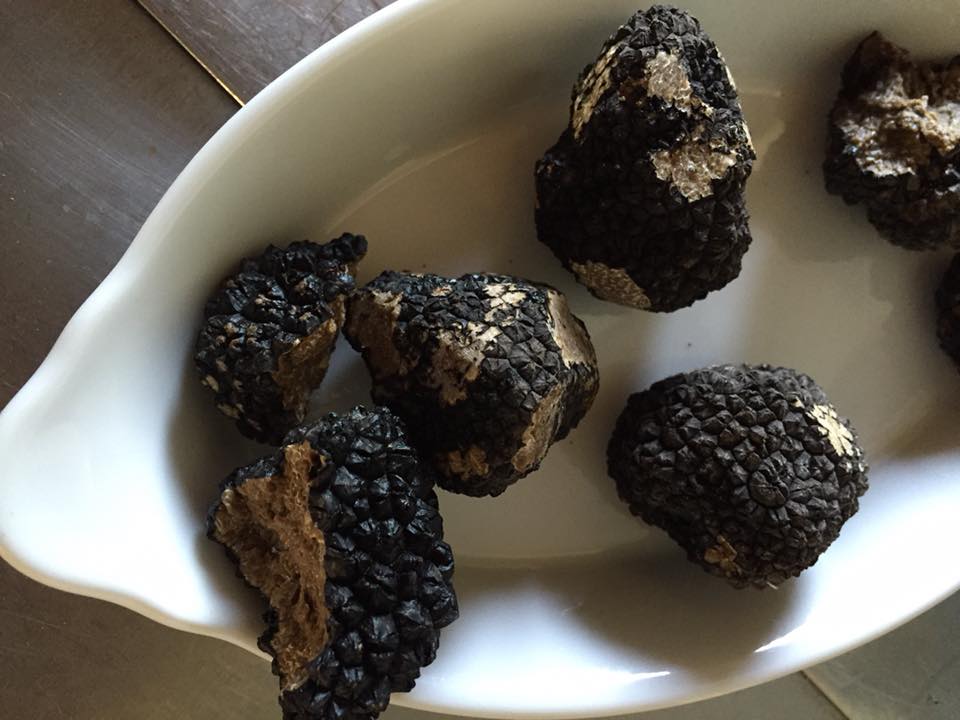 Scorzone black truffles
