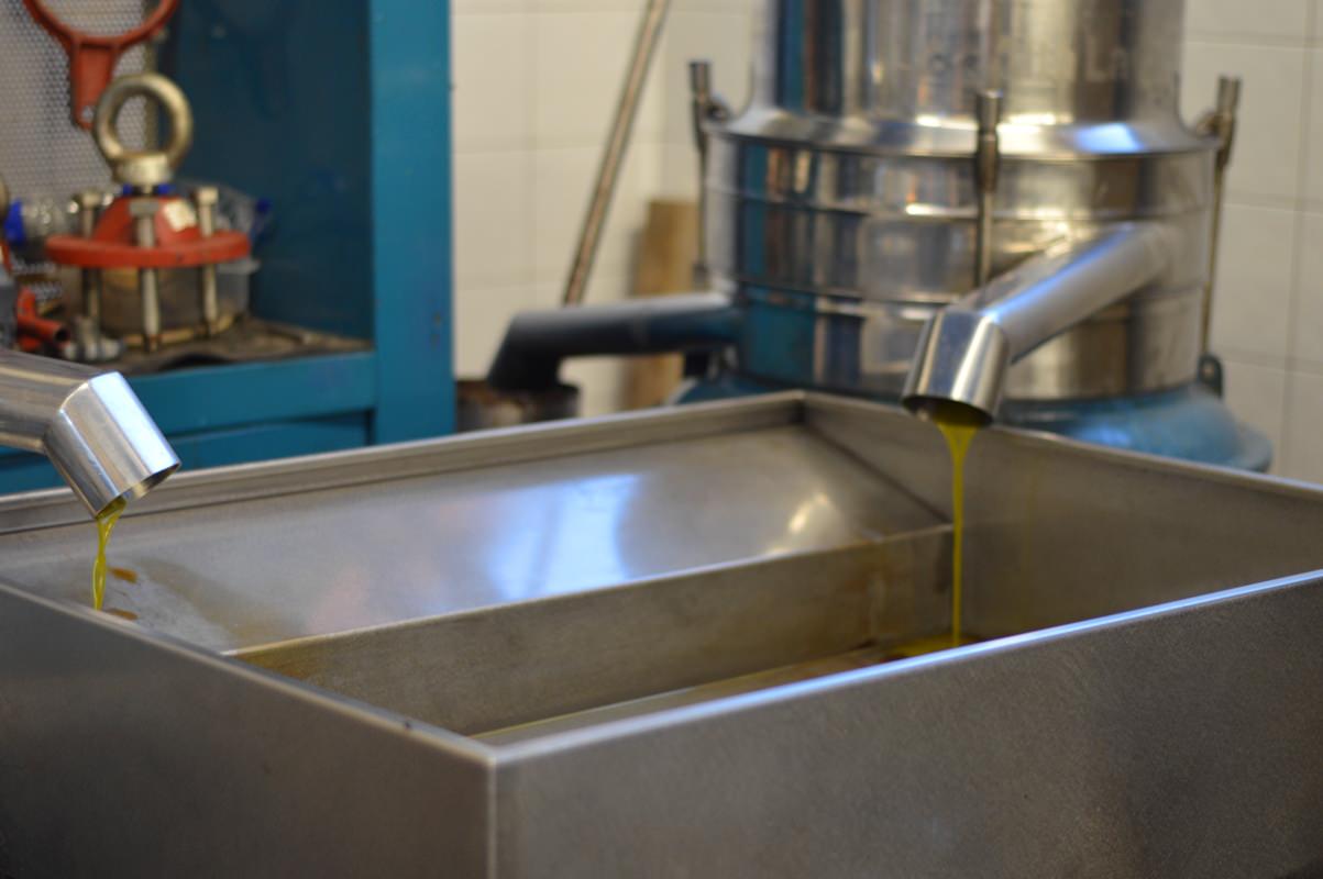 Olive oil from the tap