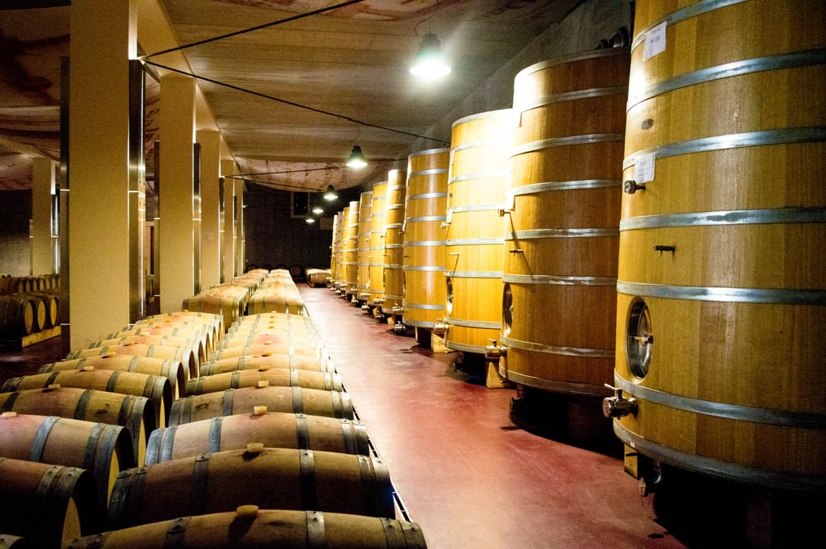 Wine cathedral