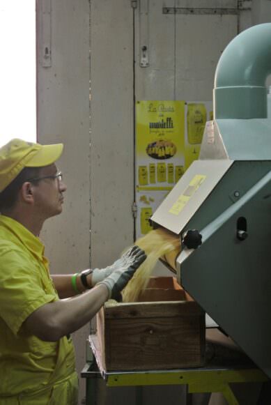 Luca cutting spaghetti