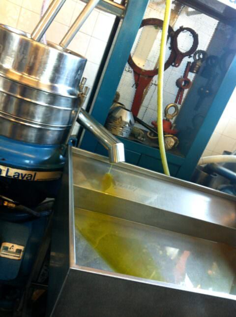A stream of olive oil