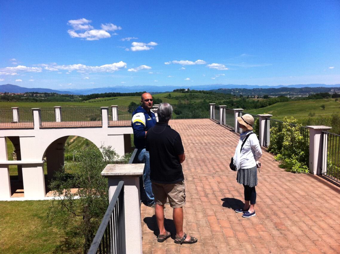 A walk in the terrace of a winery