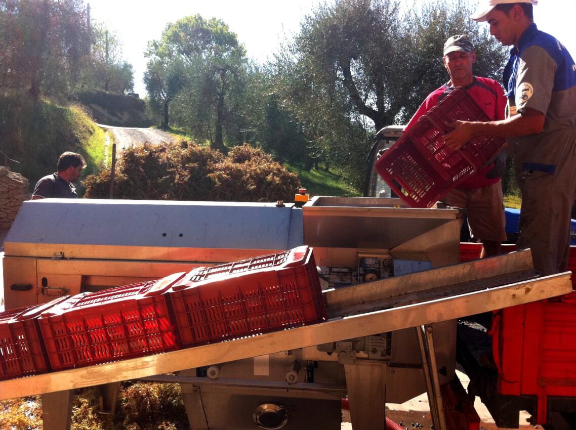 The destemming machine