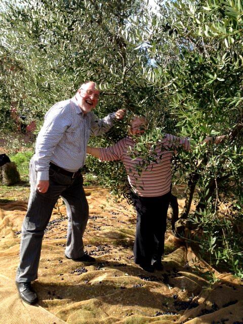 Olive picking smiles