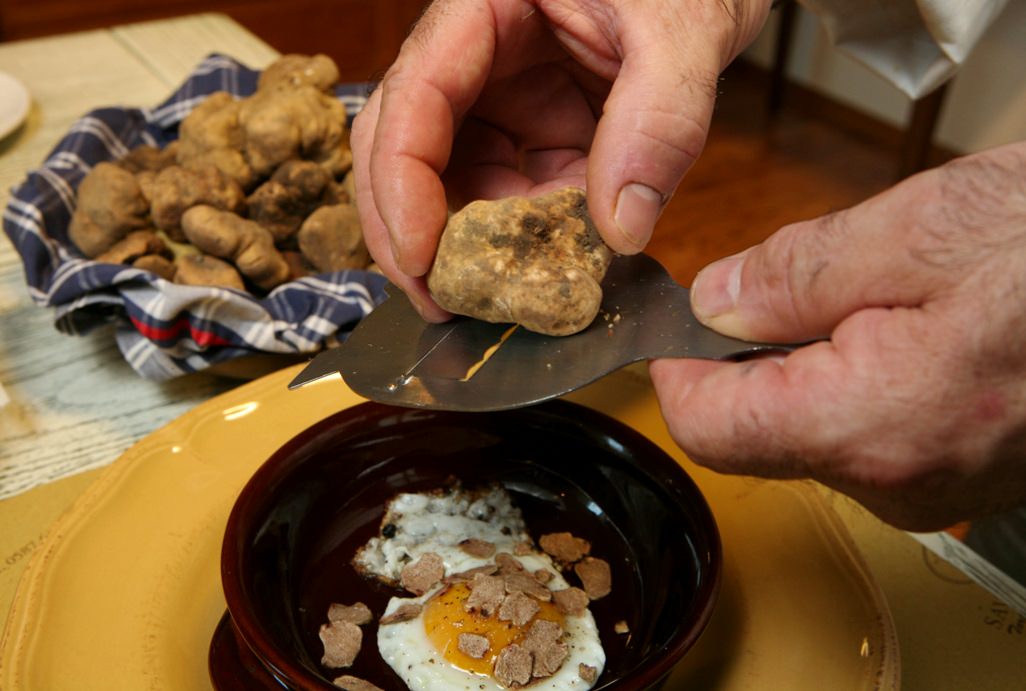 White truffle on eggs
