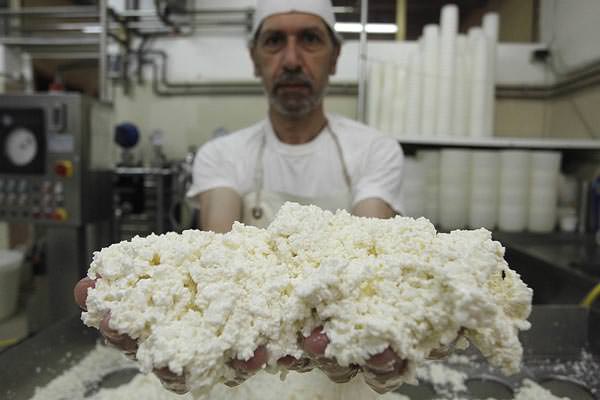 Cheese makers in Volterra with accommodation