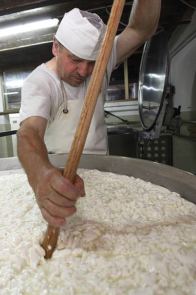 Cheese making farm with accommodation in central Tuscany