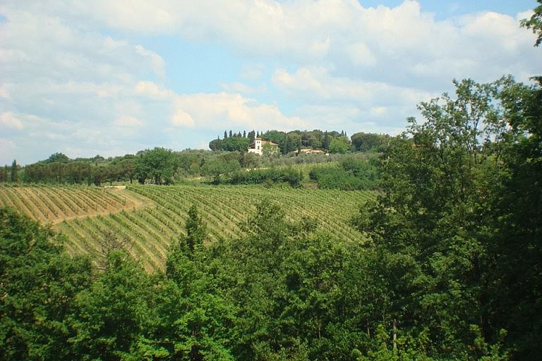 Wine estate near Florence