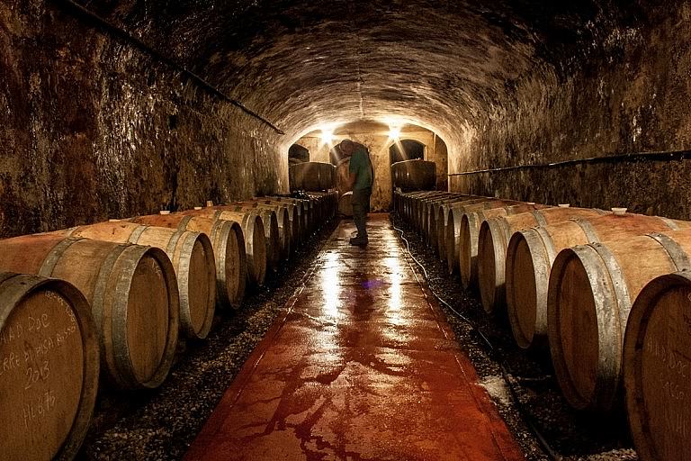 Cleaning the barrique room