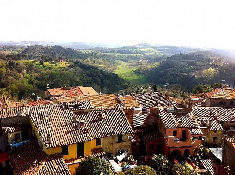 View of the countryside around Palaia