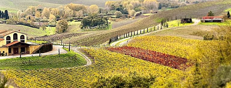 Winery in Tuscany for painting lessons