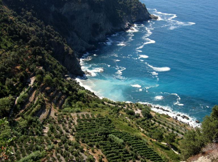 Beautiful cliffs along the Cinque Terre trekking trails