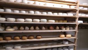 Pecorino on racks