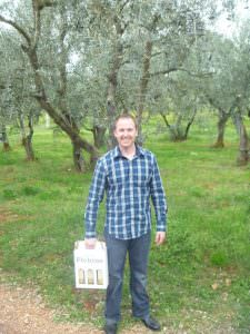 An olive grove in Spring