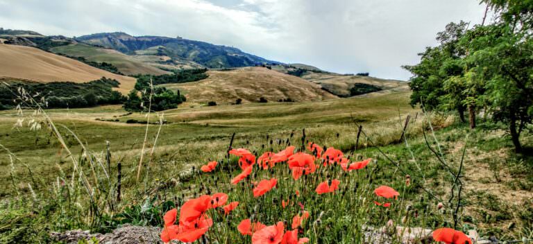 Panorama from the farm