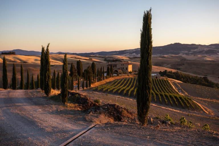 Wine tasting at a dream farm in Tuscany