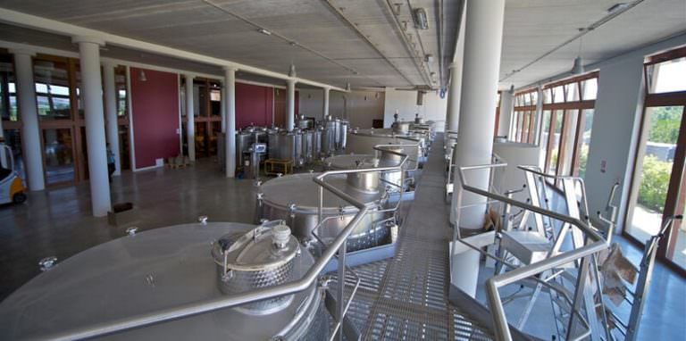 Modern wine cellar near Peccioli