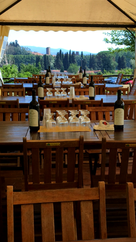 Monte Pisano DOC olive oil