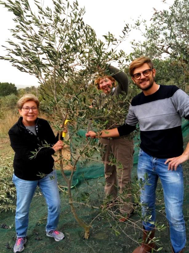 Experiential tours in Pisa and Volterra