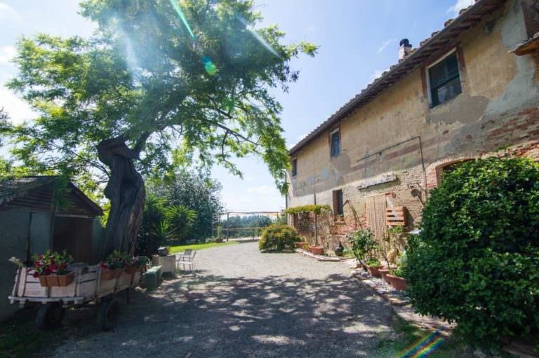 The best cooking school near Pisa and San Gimignano