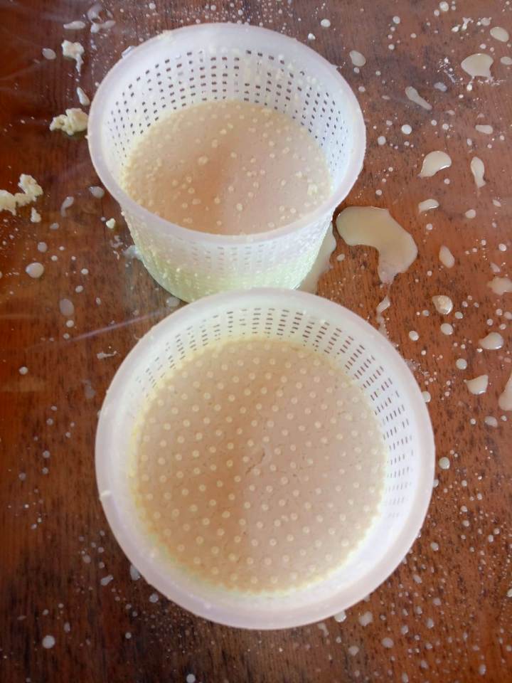 Hands-on cheese making experience in Tuscany