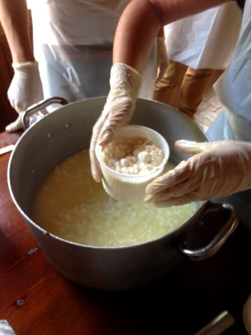 Milk reacting with enzymes