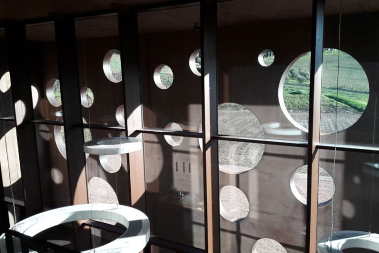 Family business winery in valdera