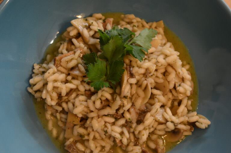 Risotto with mushrooms sauce