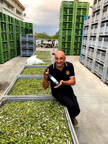 Guido olive oil maker