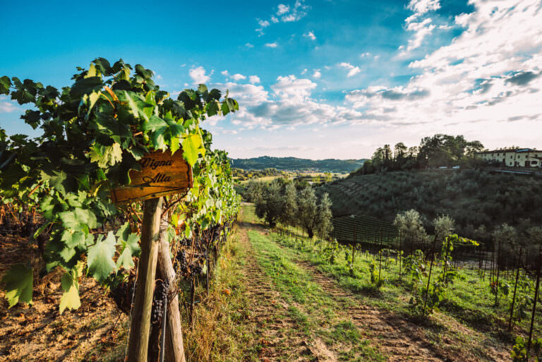 Winery in San Miniato