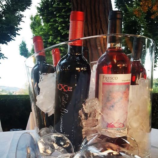 A wine for all tastes