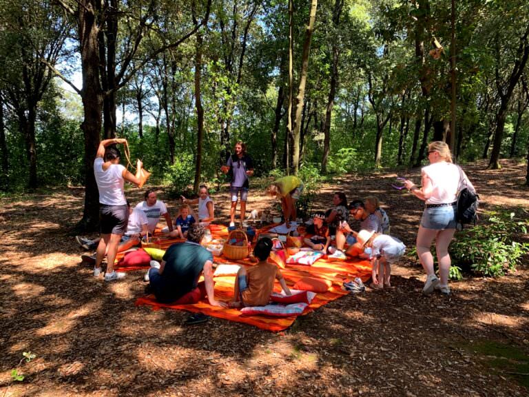 Pick nick typical tuscan lunch in a shaded oakwood
