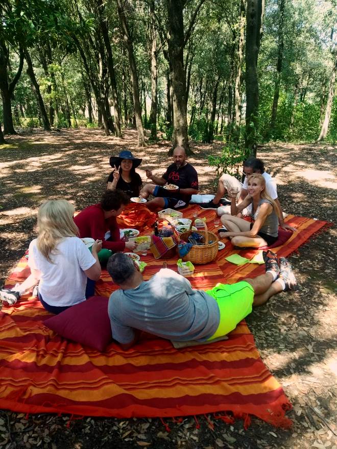 A shaded spot in an oakwood during our ebike tours