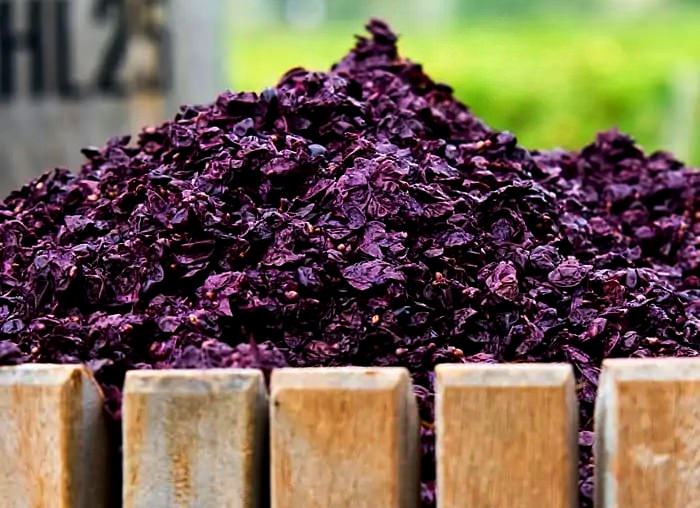 Leftovers of winemaking