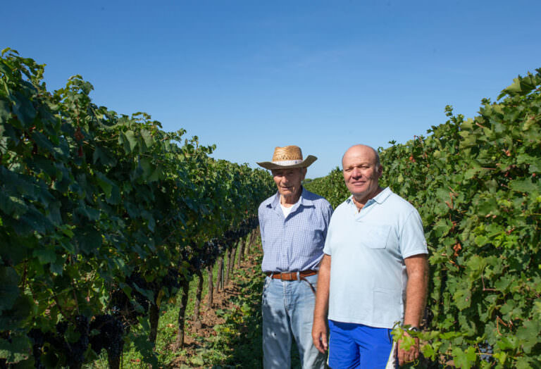 Winemakers of Bolgheri