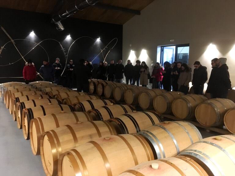 Wine tours with tastings in Bolgheri