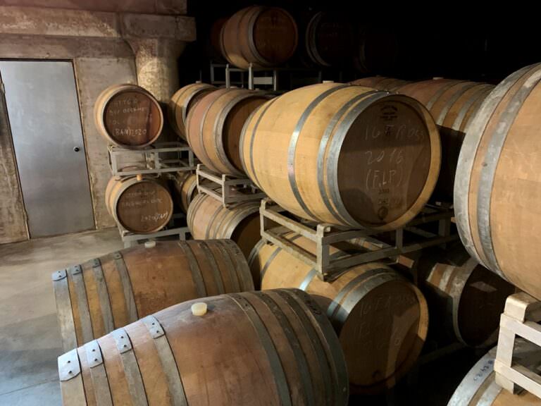 Bolgheri wine barriques