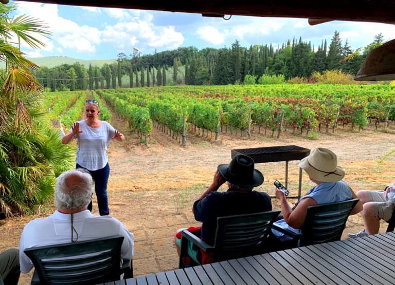 First step of the wine tour