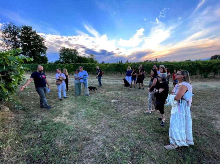 Guided visit to tempranillo vineyards before the festival