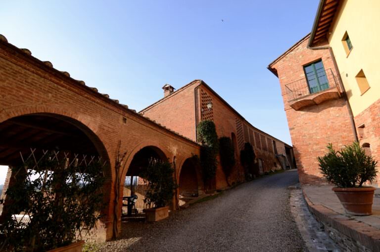 Winery tour in Terricciola