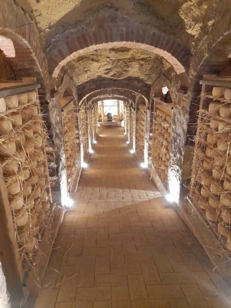 Visit the cheese grotto in Lari