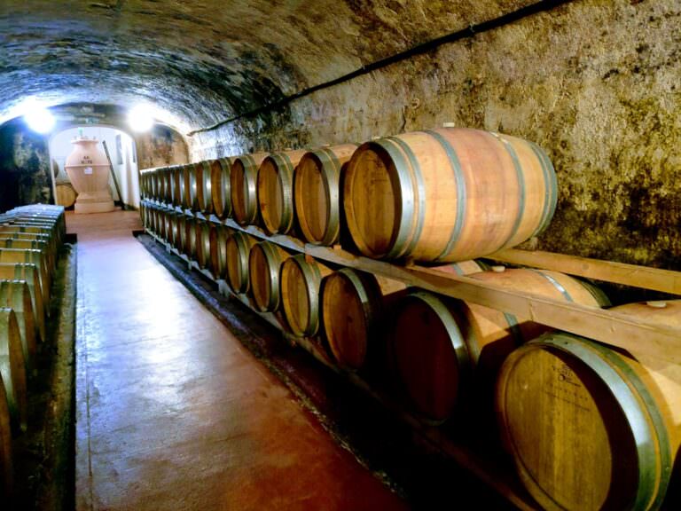 Wine tasting with lunch