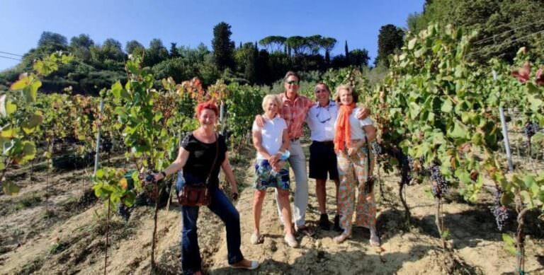 Wine tour to 2 wineries in San Miniato