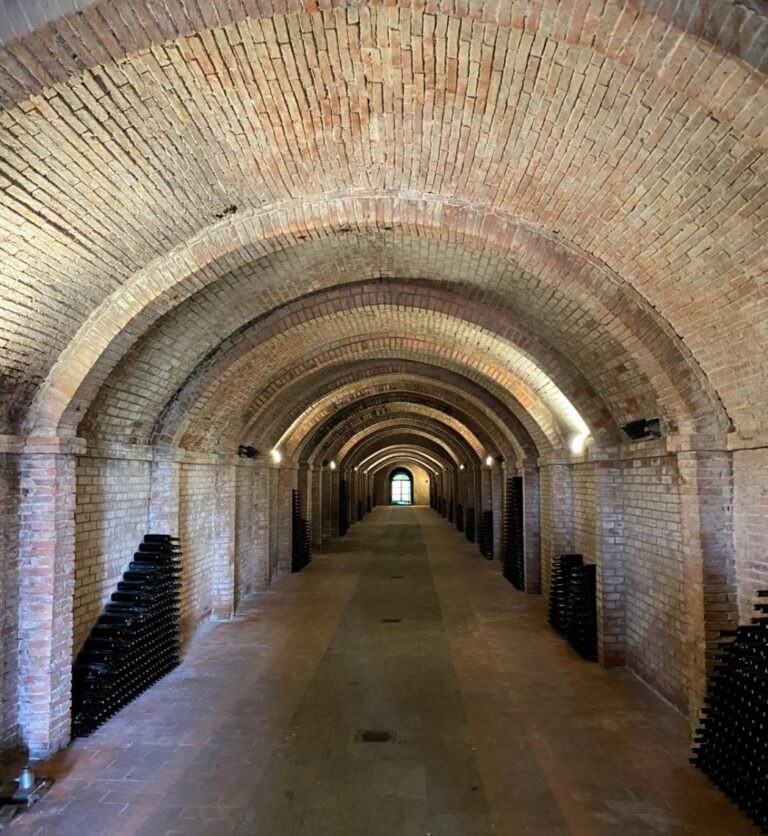 Ageing bottles in the cellar