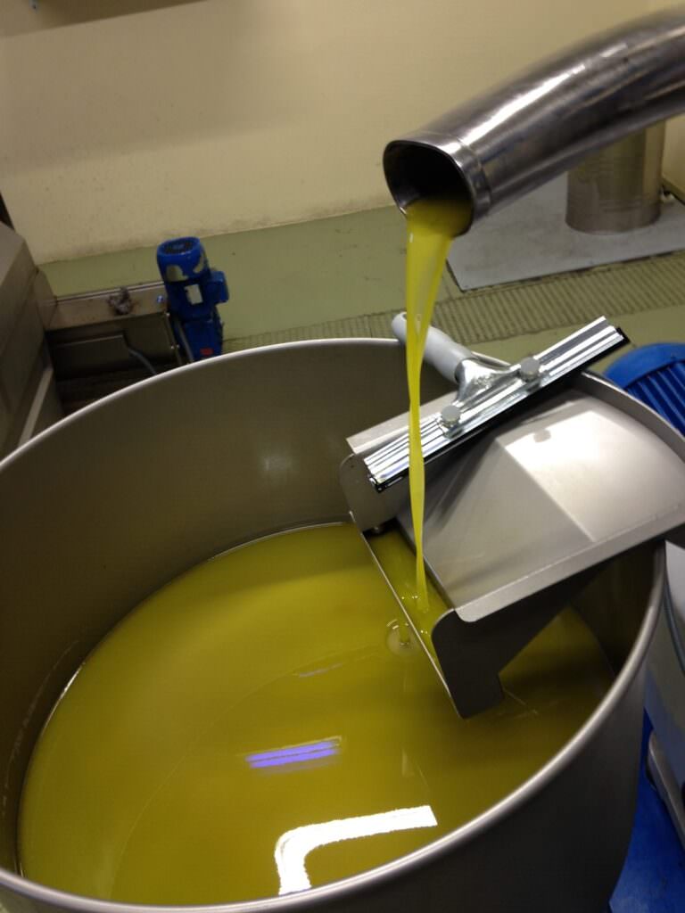 Extra virgin olive oil tasting