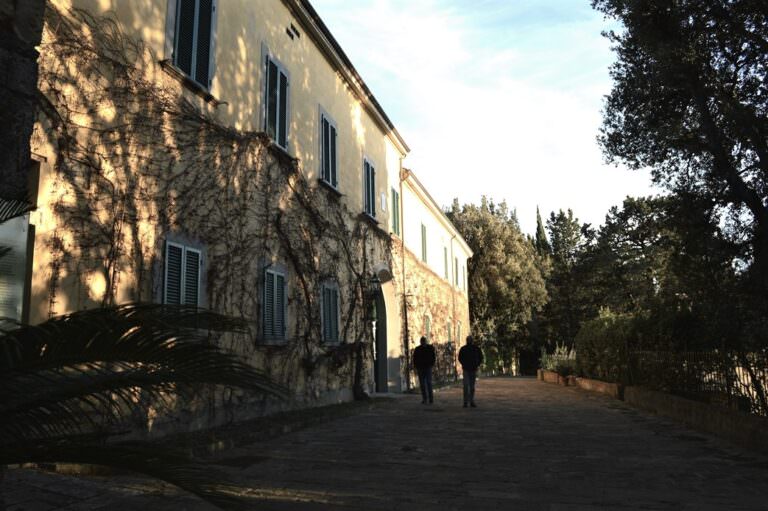 Guided tour to the abbey