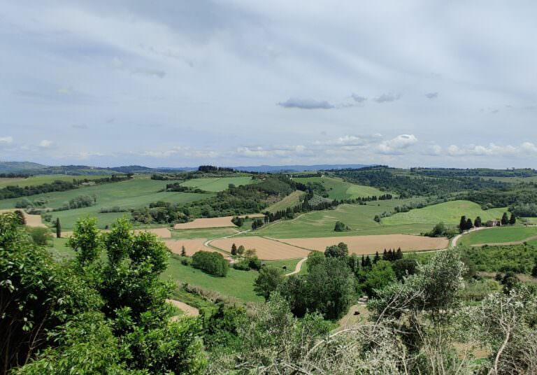 Guided tour to Peccioli