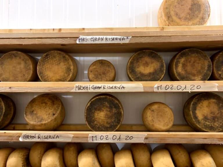 Guided visit with Arianna & Friends